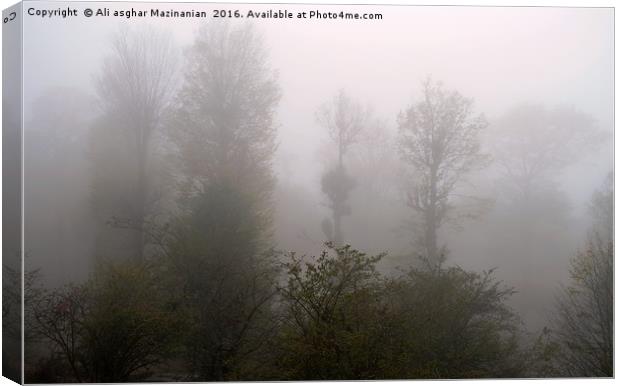 A fogy misty day in jungle, Canvas Print by Ali asghar Mazinanian