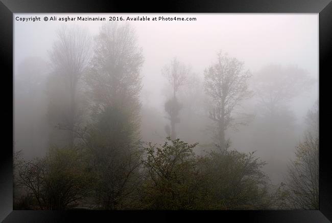 A fogy misty day in jungle, Framed Print by Ali asghar Mazinanian