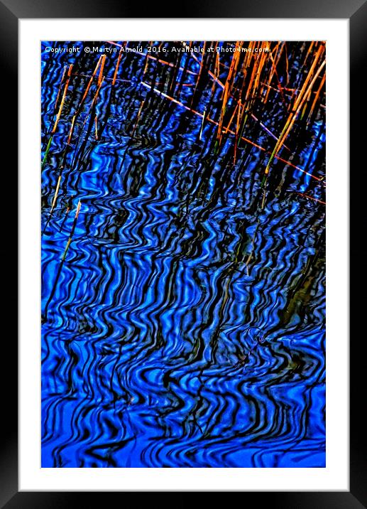 Reflections of Reeds Framed Mounted Print by Martyn Arnold
