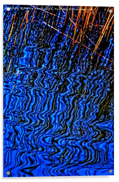 Reflections of Reeds Acrylic by Martyn Arnold
