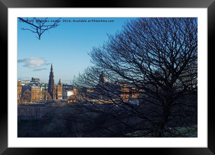 EDINBURGH TREES Framed Mounted Print by andrew saxton