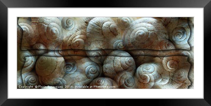 Trimmed Snails Framed Mounted Print by Florin Birjoveanu