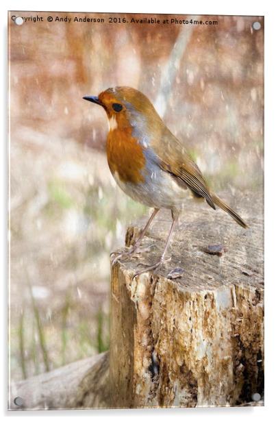 Winter Robin Acrylic by Andy Anderson
