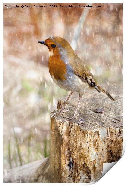 Winter Robin Print by Andy Anderson