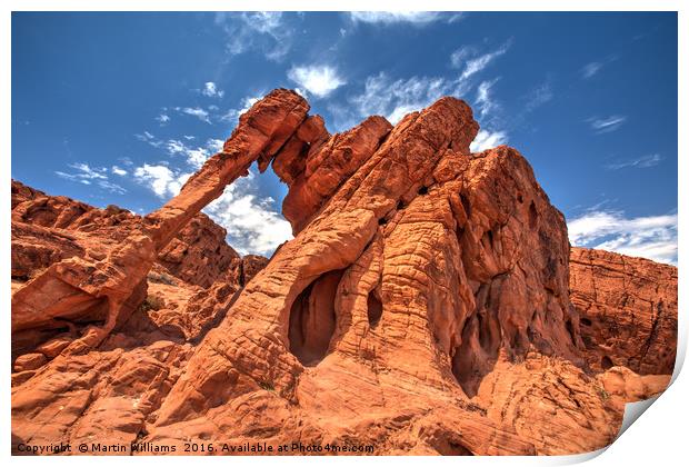 Elephant Rock, Valley of Fire State Park, Nevada Print by Martin Williams