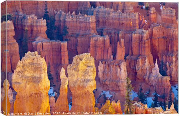 Far and Near, Bryce Canyon National Park Canvas Print by David Roossien