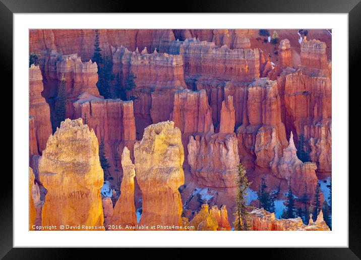 Far and Near, Bryce Canyon National Park Framed Mounted Print by David Roossien