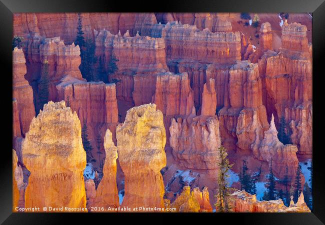 Far and Near, Bryce Canyon National Park Framed Print by David Roossien
