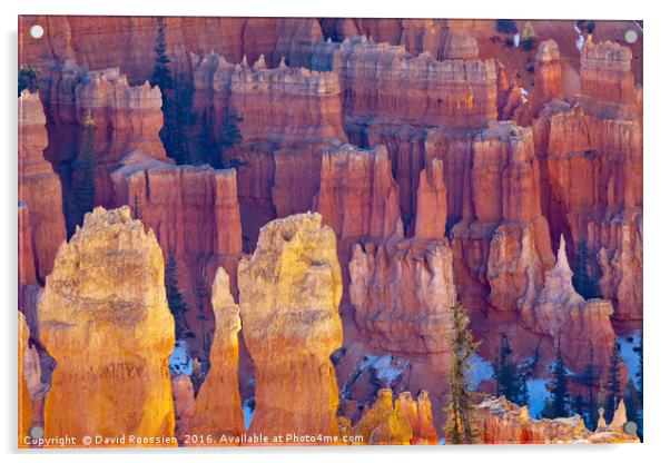 Far and Near, Bryce Canyon National Park Acrylic by David Roossien