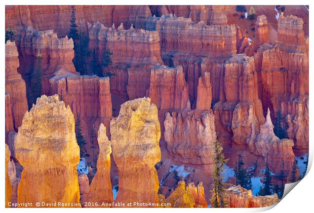 Far and Near, Bryce Canyon National Park Print by David Roossien