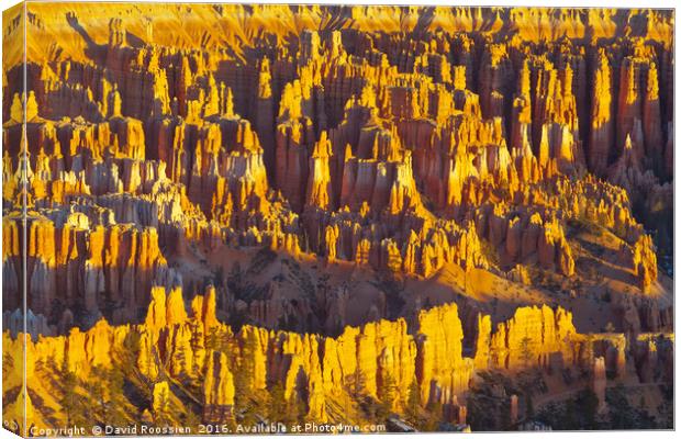 Amphitheater, Bryce Canyon National Park Canvas Print by David Roossien
