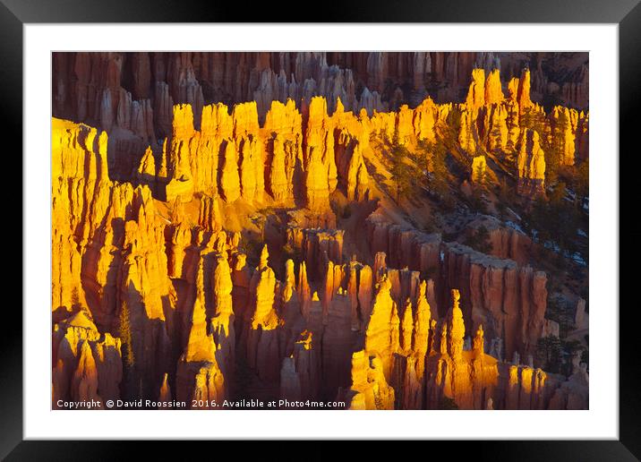 Silent City, Bryce Canyon National Park Framed Mounted Print by David Roossien