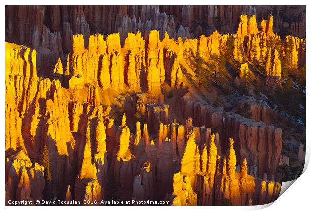 Silent City, Bryce Canyon National Park Print by David Roossien