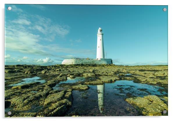 Reflecting on St Marys lighthouse Acrylic by andrew blakey
