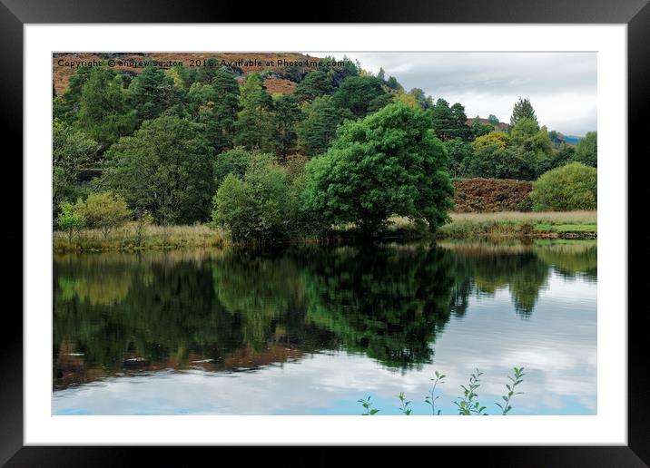 TREE LINED Framed Mounted Print by andrew saxton