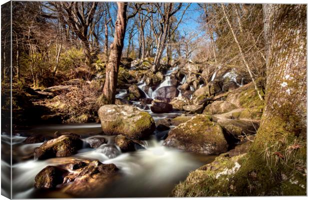 Becky Falls in Spring Canvas Print by David Hare