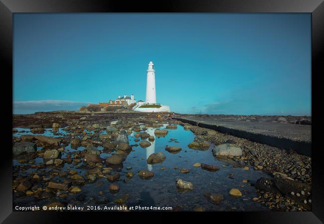 St Marys Lighthouse causeway Framed Print by andrew blakey