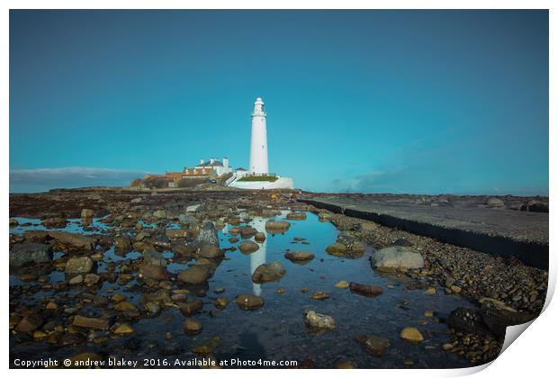 St Marys Lighthouse causeway Print by andrew blakey