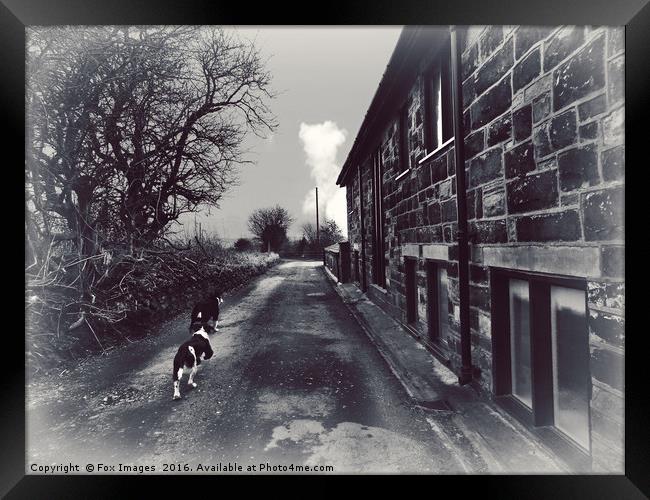 countryside walk Framed Print by Derrick Fox Lomax