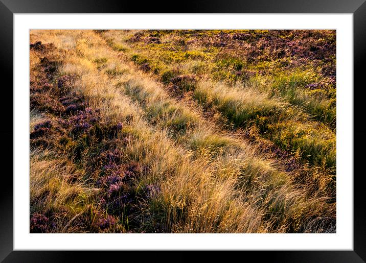Summer light on a moorland hillside Framed Mounted Print by Andrew Kearton