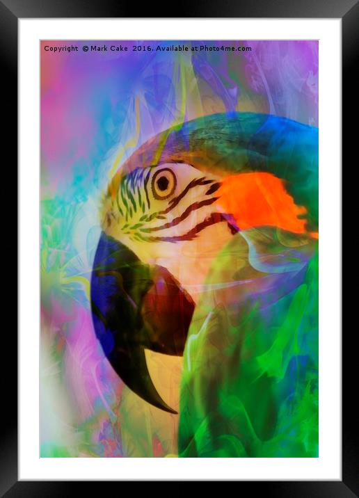 Tropical storm Framed Mounted Print by Mark Cake