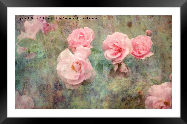 Romance and Roses Framed Mounted Print by LIZ Alderdice