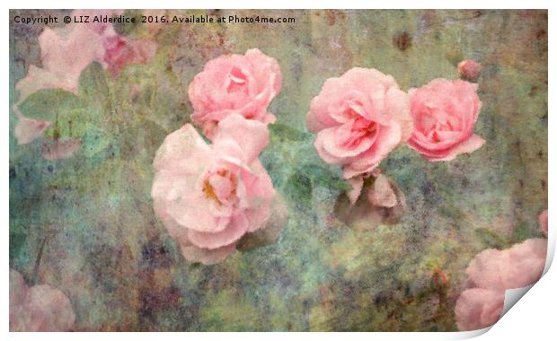 Romance and Roses Print by LIZ Alderdice