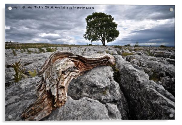 Malham: Lone Tree Acrylic by Leigh Tickle