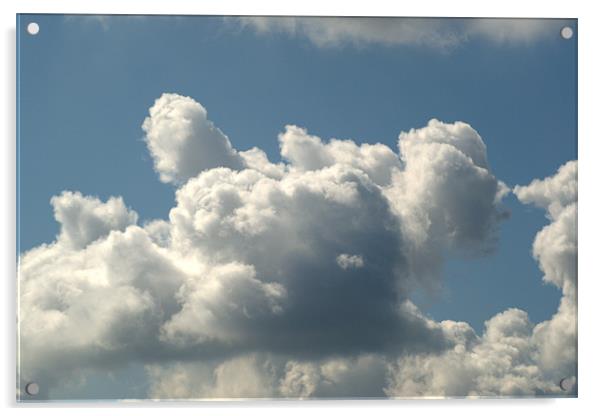On Cloud Nine Acrylic by Chris Day