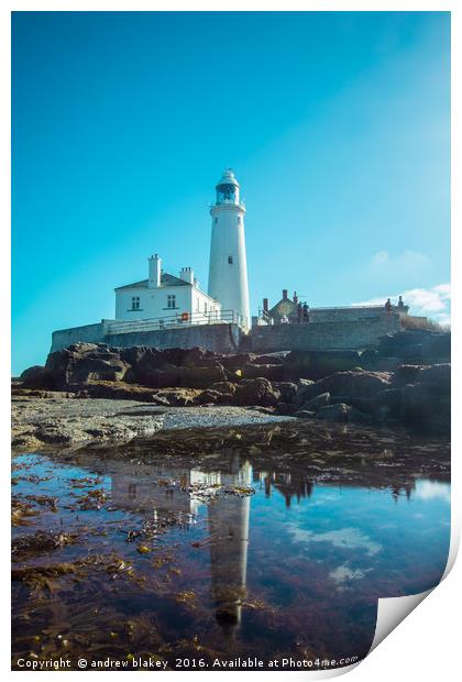 St Marys Lighthouse Print by andrew blakey