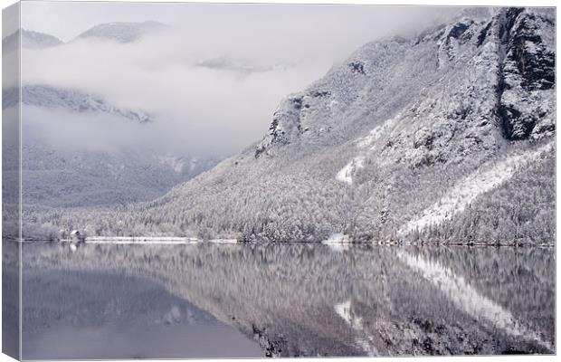 Wintery reflections of Bohinj Canvas Print by Ian Middleton