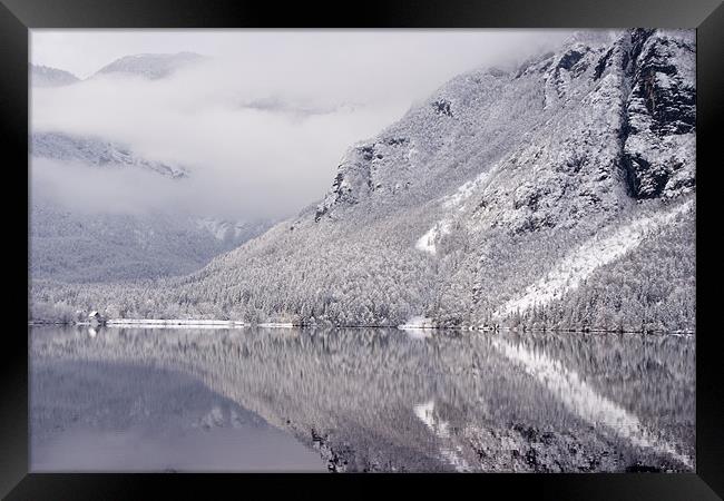 Wintery reflections of Bohinj Framed Print by Ian Middleton
