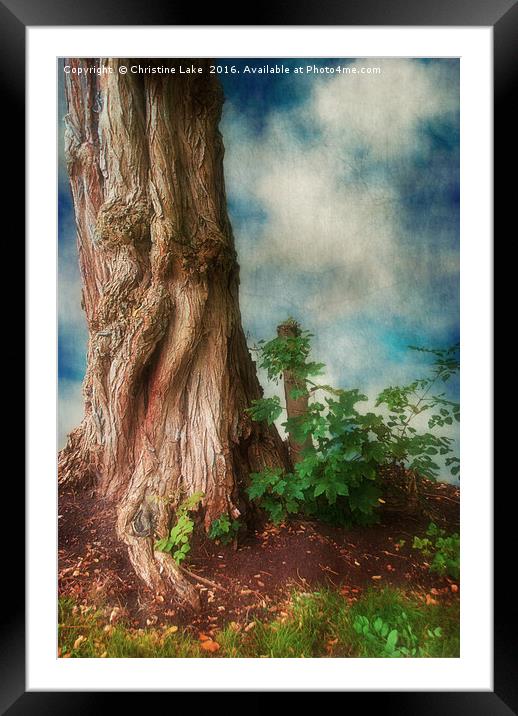 A Place For Contemplation Framed Mounted Print by Christine Lake