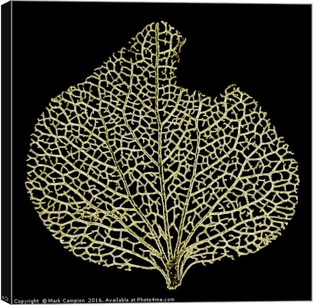 Skeleton Leaf Canvas Print by Mark Campion