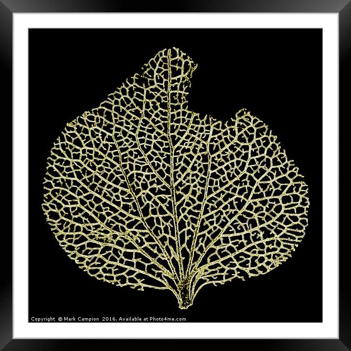 Skeleton Leaf Framed Mounted Print by Mark Campion