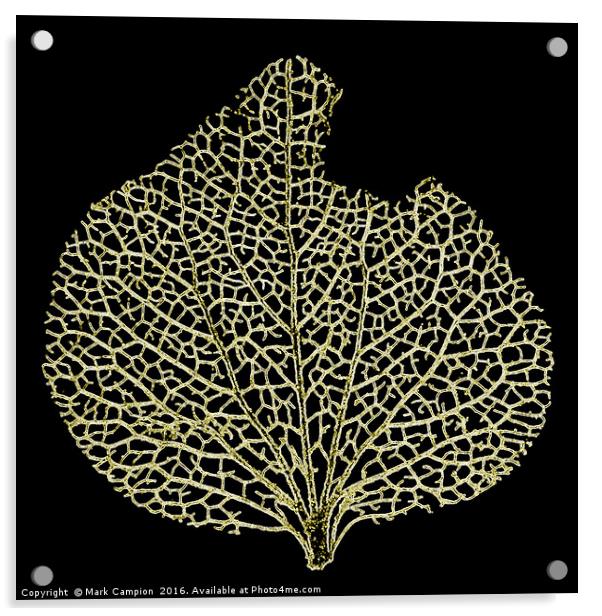 Skeleton Leaf Acrylic by Mark Campion
