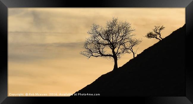 Tree silhouette Framed Print by Rob Mcewen