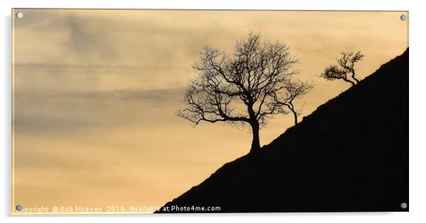 Tree silhouette Acrylic by Rob Mcewen