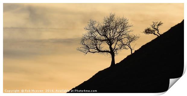 Tree silhouette Print by Rob Mcewen