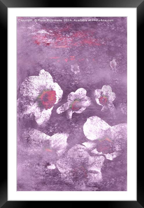 Narcissuses Dreamlight Framed Mounted Print by Florin Birjoveanu