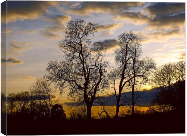 sunset in the wye valley Canvas Print by paul ratcliffe