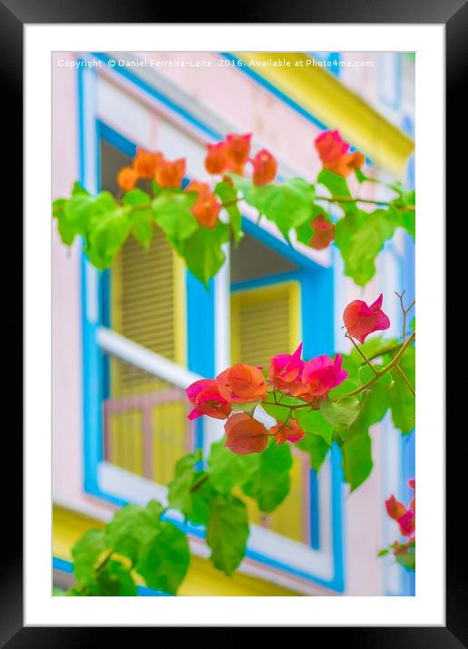 Colored Flowers in Front ot Windows House Framed Mounted Print by Daniel Ferreira-Leite