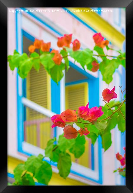 Colored Flowers in Front ot Windows House Framed Print by Daniel Ferreira-Leite