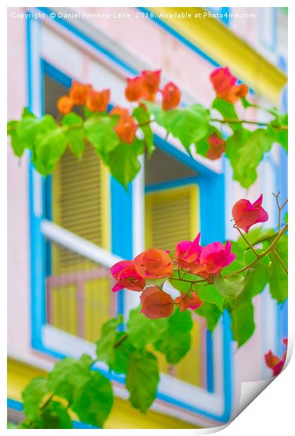 Colored Flowers in Front ot Windows House Print by Daniel Ferreira-Leite