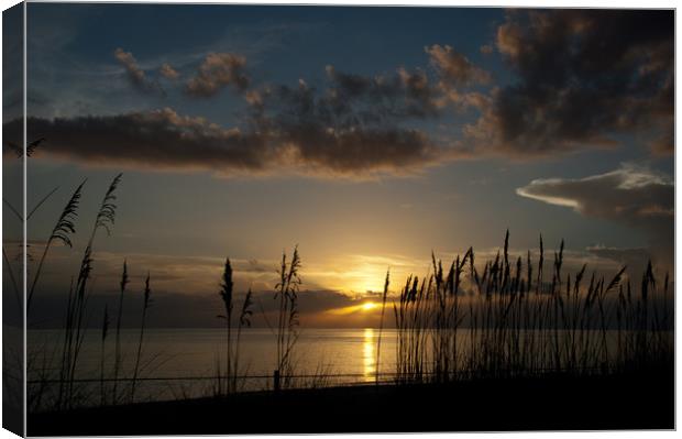 Last rays at Naples, Florida Canvas Print by Paul Phillips