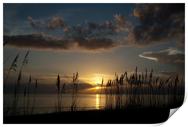 Last rays at Naples, Florida Print by Paul Phillips
