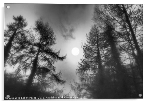 Sun Through The Trees      Acrylic by Bob Morgans