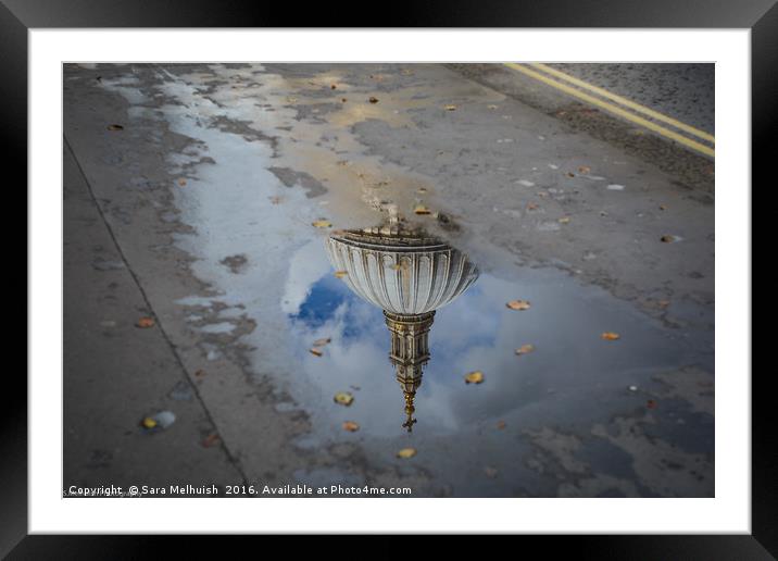 St Paul's in a puddle Framed Mounted Print by Sara Melhuish