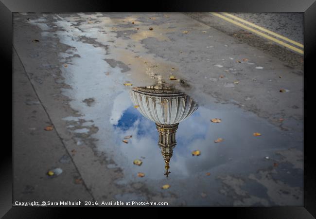 St Paul's in a puddle Framed Print by Sara Melhuish