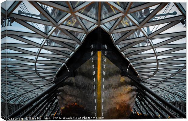 Cutty Sark or is it a weeping penguin Canvas Print by Sara Melhuish